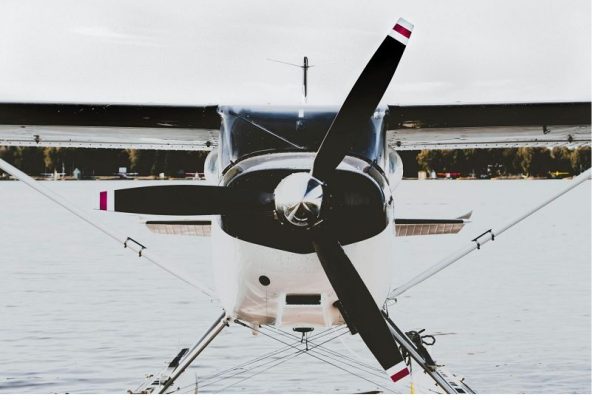 Những chú rùa, cá heo và nghỉ dưỡng của tôi ở Maldives