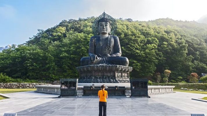 Những chuyến đi đường bộ tuyệt vời nhất ở Hàn Quốc xuyên qua núi, đảo và lịch sử