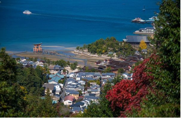 Tour du lịch Nhật Bản không có hướng dẫn - Quy tắc giai đoạn mở lại