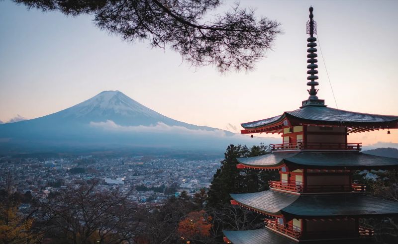 Từ Soba thủ công đến các tuyến đường hành hương ẩn giấu, đây là những trải nghiệm Tour du lịch Nhật Bản yêu thích của tôi