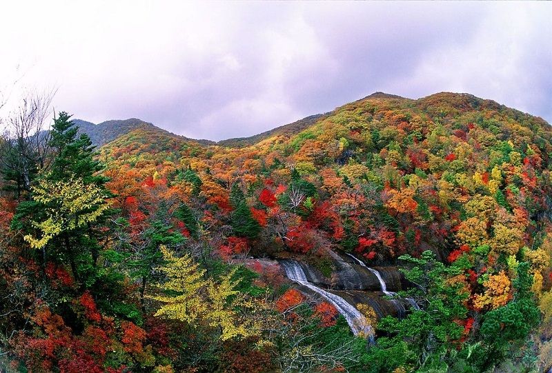 Vườn quốc gia Jirisan