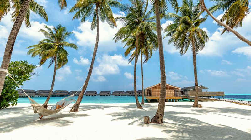 Trắng và xanh: Yamazaki nói rằng trong thập kỷ qua làm việc tại Maldives, nước biển đã dâng cao hơn dự đoán của các nhà khoa học, do đó anh mong muốn làm việc bền vững.