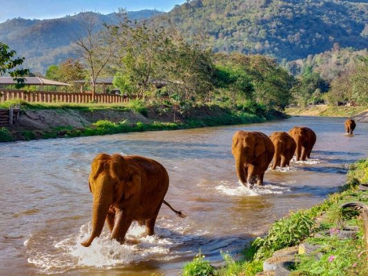 3 Trải Nghiệm Du Lịch Ý Nghĩa Ở Miền Bắc Thái Lan