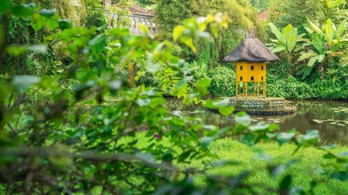 Bên trong của một hòn đảo tuyệt đẹp thú vị