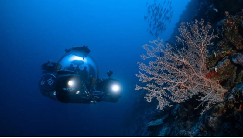 Các nhà khoa học khám phá một hệ sinh thái mới ở đại dương sâu của Maldives