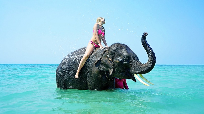 Du khách đang cỡi voi ở Thái Lan