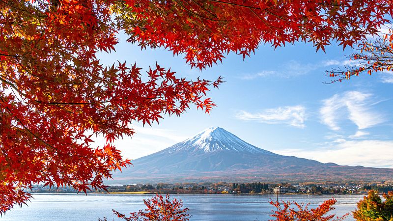 Khi nào là thời điểm tốt nhất để ngắm lá mùa thu tuyệt vời của Nhật Bản