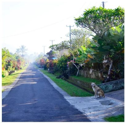 Làng Bali thiết lập hệ thống thu phí cho đường riêng