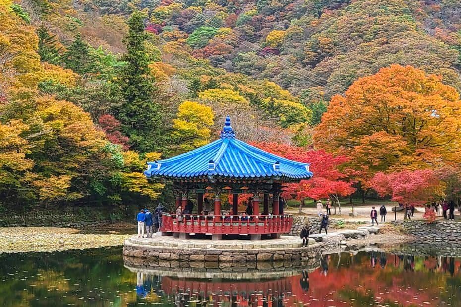 Mùa thu ở Hàn Quốc thật đẹp