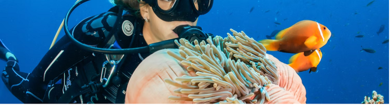 Resort Lặn Với Ống thở có Rạn san hô Nhà ở Maldives