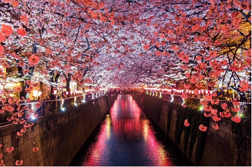 15 điều tốt nhất để làm ở Nhật Bản và tại sao bạn phải thử chúng