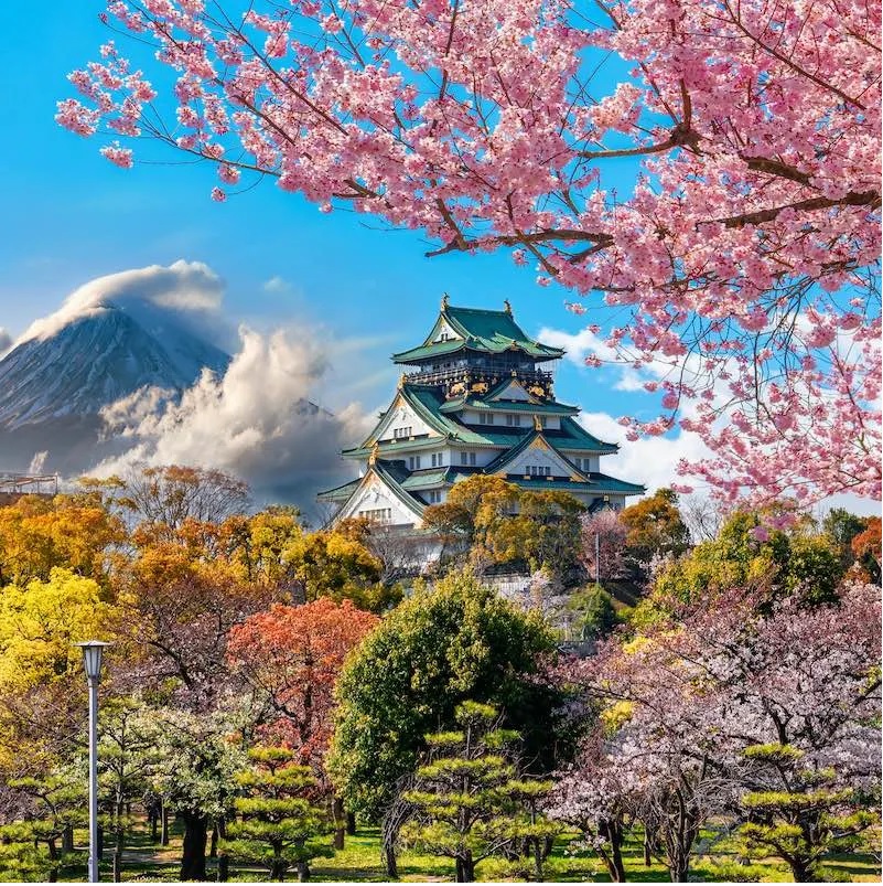 Hãy tận dụng năm 2023 để đi Tour du lịch Nhật Bản
