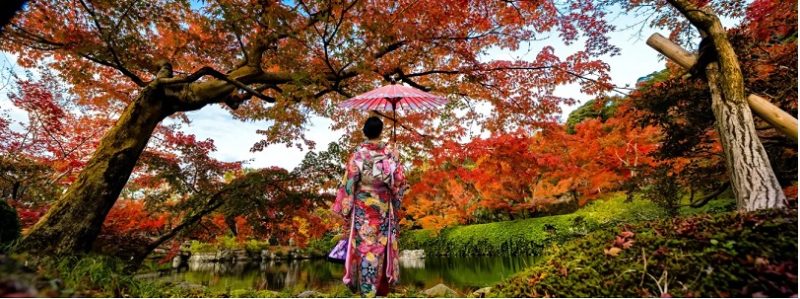 Hy vọng sẽ đánh bại đám đông khách du lịch trong chuyến đi đến Nhật Bản của bạn