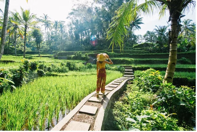 Bali có phong cảnh nông thôn hoang dã, cũng như những bãi biển nguyên sơ