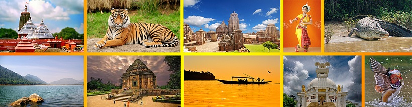 Du lịch MICE ở Odisha-Ấn Độ