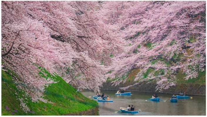 Thời điểm tốt nhất để ghé thăm Tokyo vào năm 2023
