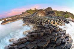 Tour du lịch Team Building tại Phú Yên 3 Ngày 2 Đêm
