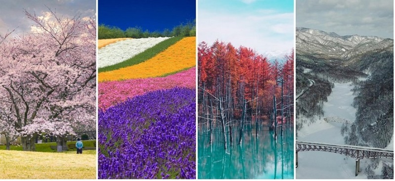 Hokkaido có 4 mùa rõ rệt