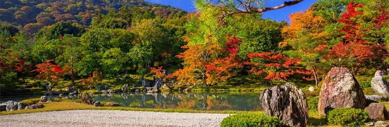 Khu vườn kiểng tuyệt đẹp ở Tenryuji