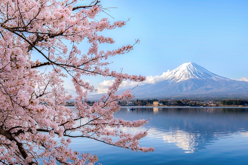Nhiều người muốn đến thăm Nhật Bản để ngắm núi Phú Sĩ xinh đẹp, được thêm vào Danh sách Di sản Thế giới như một tài sản văn hóa.