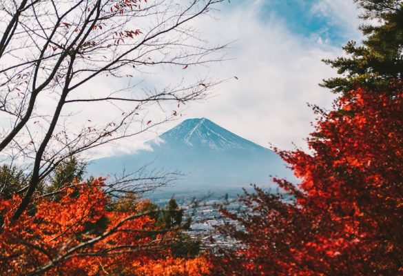 Thời điểm lý tưởng để đi Tour du lịch Nhật Bản