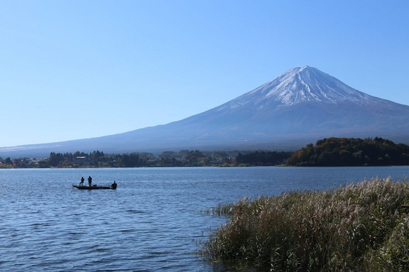 Chèo thuyền và chèo thuyền kayak quanh hồ Kawaguchi