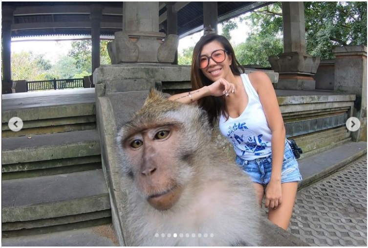 Chơi với những chú khỉ thân thiện