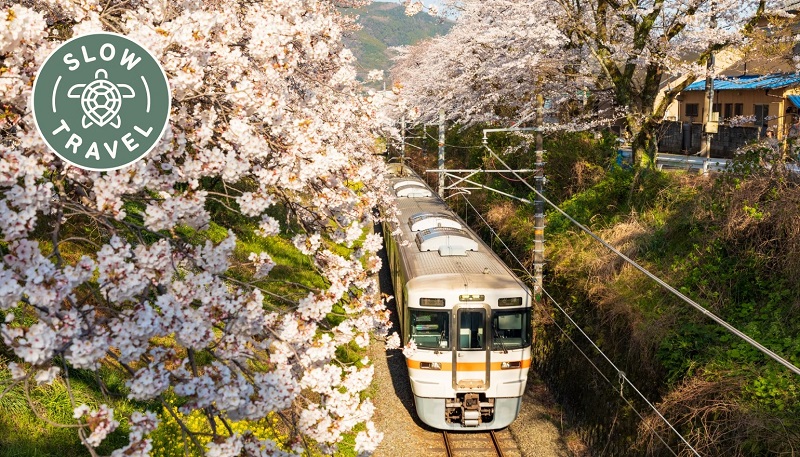Chuyến tàu chậm từ Nagoya đến Toyama mang đến những cảnh đẹp nhất ở Nhật Bản