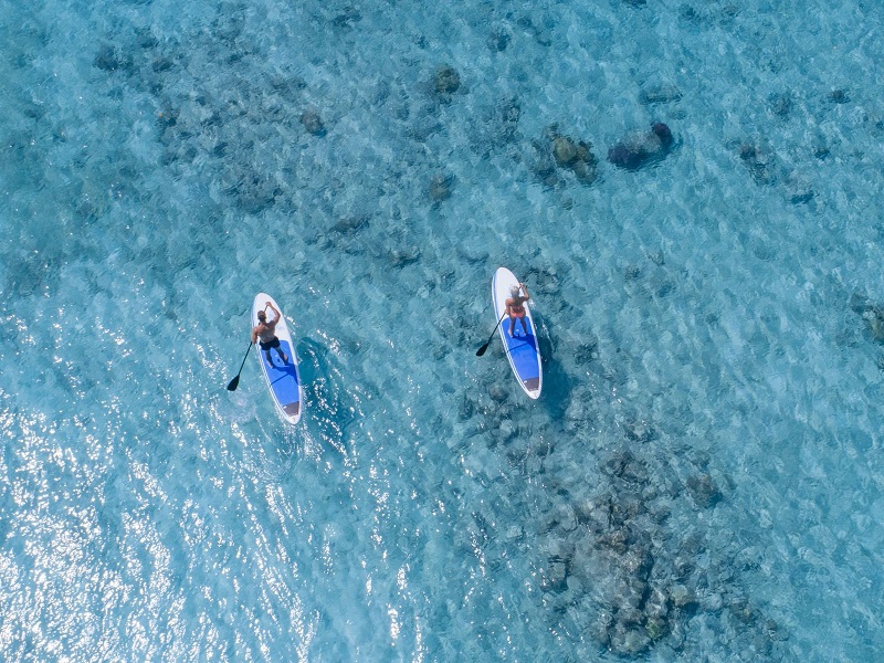 Một cặp du khách chèo ván đứng trên mặt nước ở Maldives.