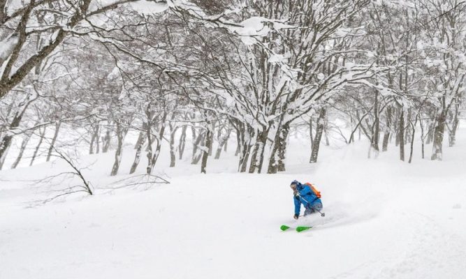 Sự trỗi dậy của trượt tuyết Nhật Bản