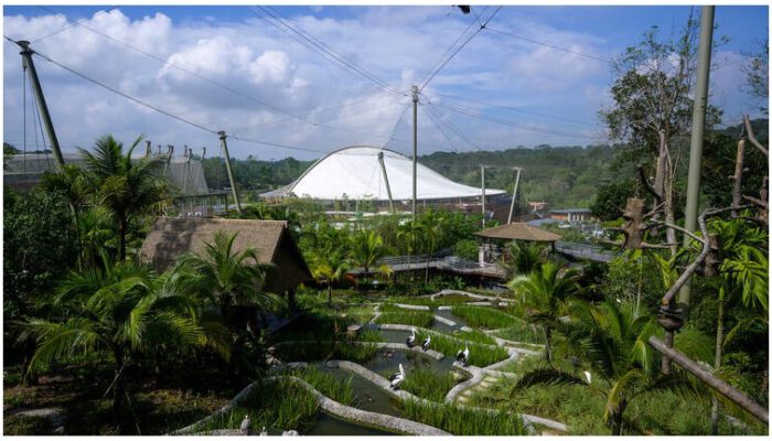 Bird Paradise của Singapore và Mandai Wildlife West sẽ mở cửa đón khách vào ngày 8 tháng 5