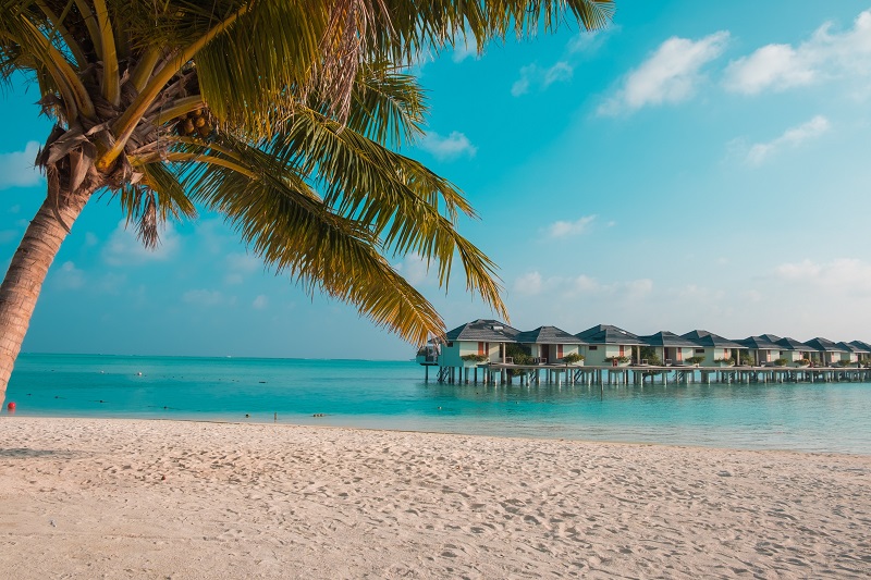 Chúng ta có thể hưởng thụ chuyến Tour Maldives một cách thoải mái trọn vẹn ở Medhufushi Island Resort Maldives