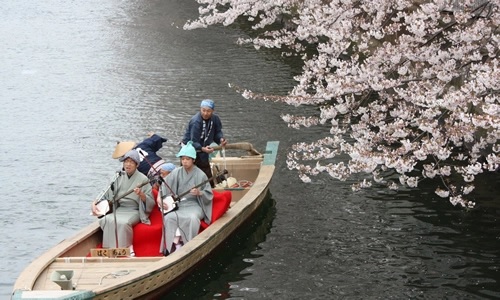 Có nhiều việc phải làm hơn là chỉ ngắm hoa tại lễ hội hoa anh đào ven sông lớn nhất Tokyo