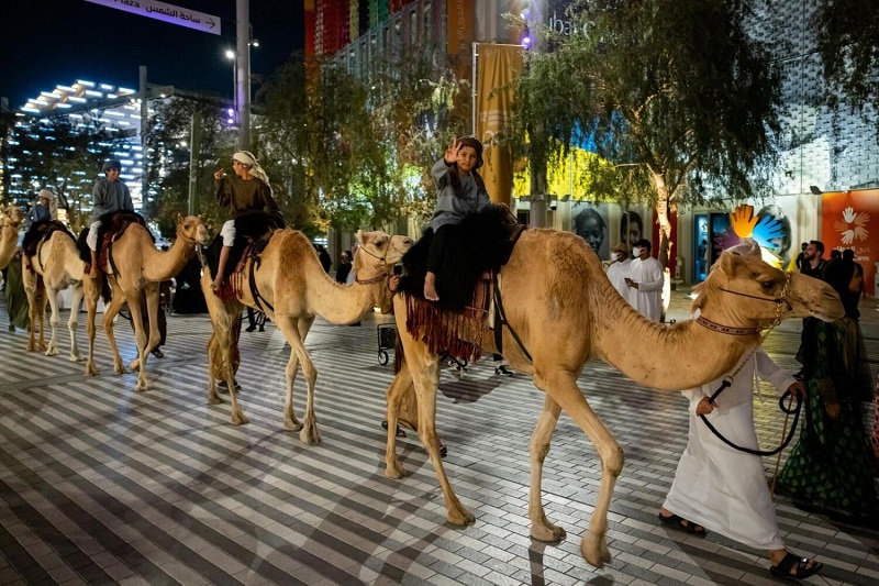 Cuộc diễu hành lạc đà tại Expo City Dubai