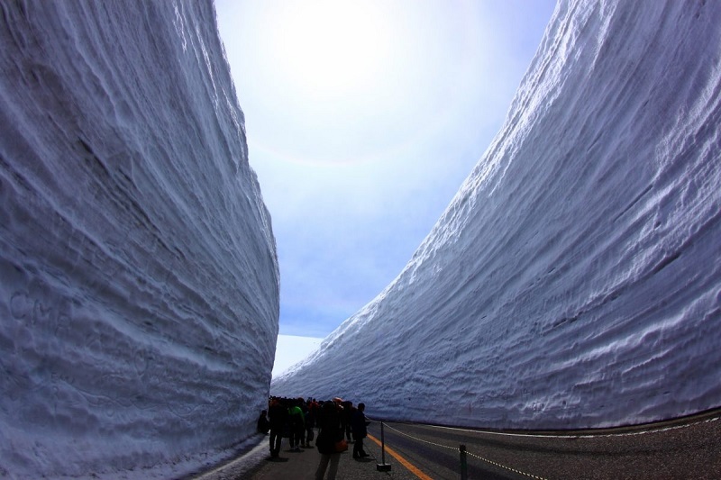 Đi qua hành lang tuyết ấn tượng trên dãy núi Alps của Nhật Bản