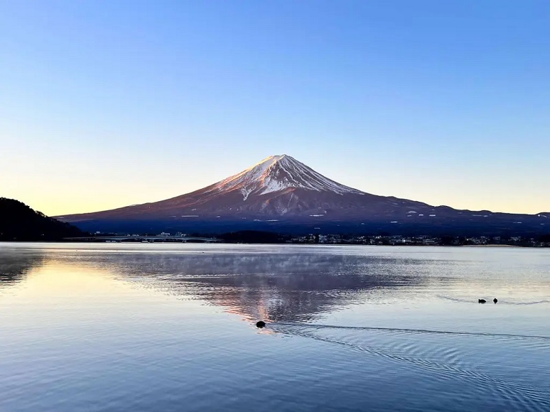 Hướng dẫn chi tiết nhất về Phú Sĩ Ngũ Hồ, Nhật Bản