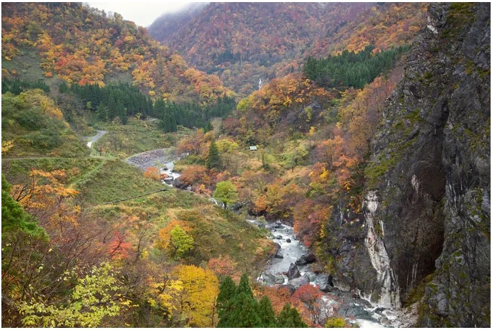 Hướng dẫn du lịch bằng tàu chậm ở Nhật Bản cho người yêu thiên nhiên