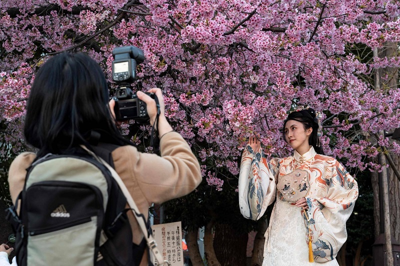 Một người phụ nữ tạo dáng chụp ảnh dưới những bông hoa khi mọi người đến thăm Công viên Ueno để ngắm hoa nở sớm ở Tokyo vào thứ Ba