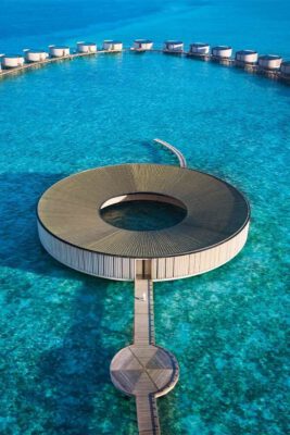 Tái khám phá sức khỏe và Bản chất của sự Cân bằng tại Ritz Carlton Maldives, Quần đảo Fari