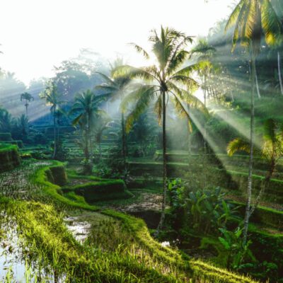 Tại sao Bali muốn thay đổi danh tiếng và ngăn chặn 'hành vi xấu'