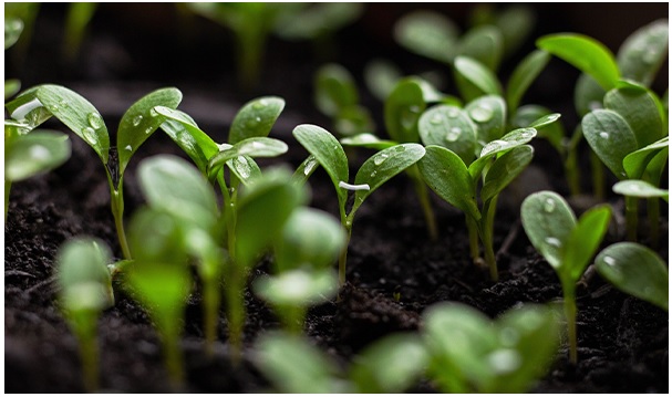 GSTC, STB xây dựng tiêu chí bền vững cho MICE, lĩnh vực thu hút