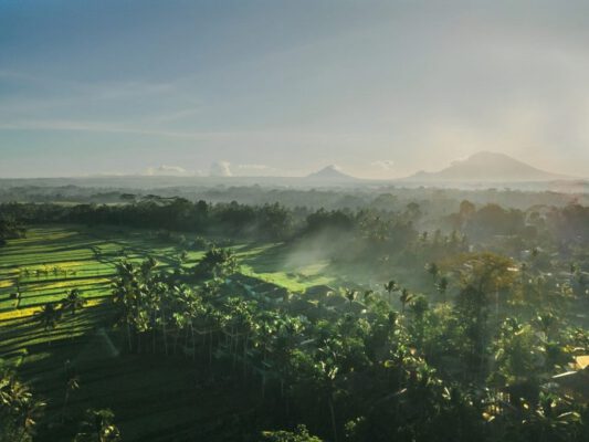 Một ngày ở Ubud