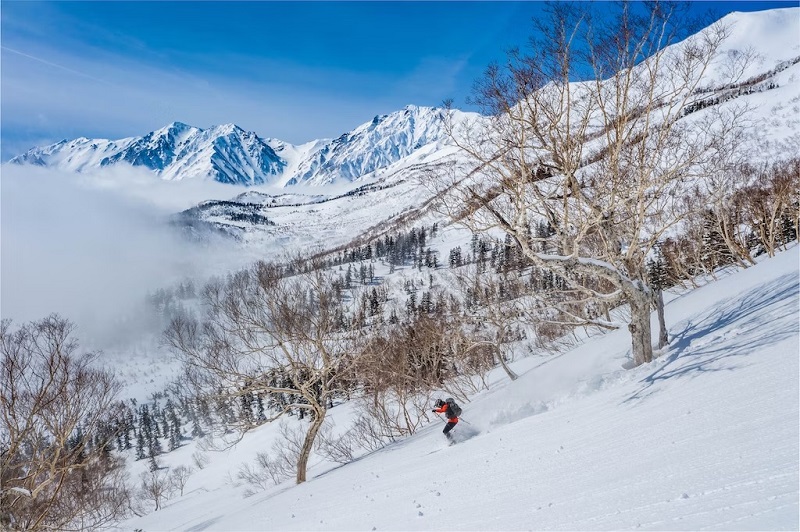 Người trượt tuyết sẽ tìm thấy những con đường mòn đẳng cấp thế giới ở Nhật Bản