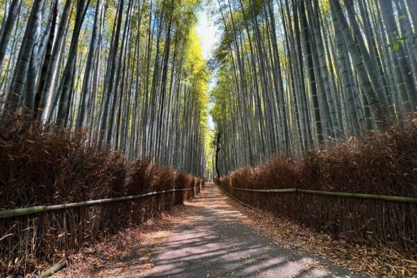 Sử dụng Đường sắt Hankyu để thăm Kyoto và Kobe từ Osaka