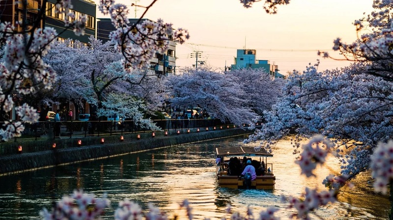 Tất cả những gì bạn cần biết để khám phá thành phố Kyoto tuyệt đẹp của Nhật Bản