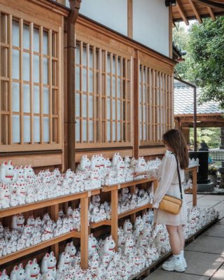 16 thứ giá rẻ ở Tokyo dưới 15 đô chứng tỏ bạn không cần phải vung tiền để vui chơi ở Nhật Bản