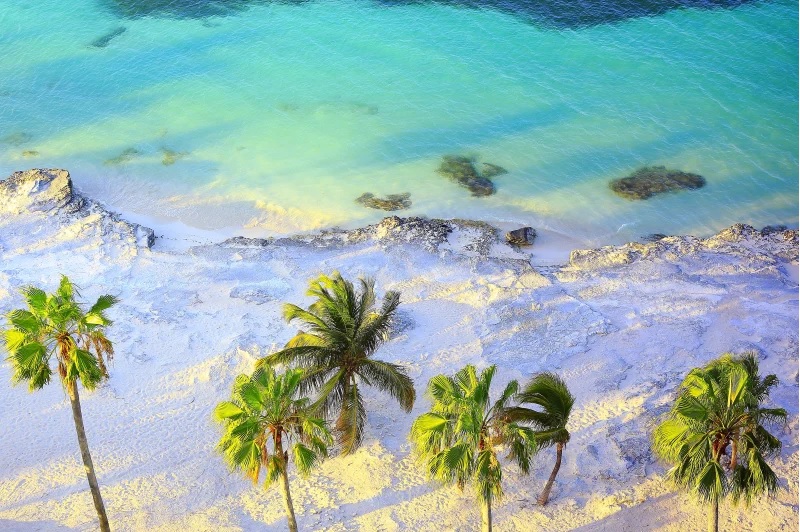 Bờ biển Caribê của Mexico, nơi những bờ biển rợp bóng cọ được bao quanh bởi biển màu ngọc lam như hộp ngọc.