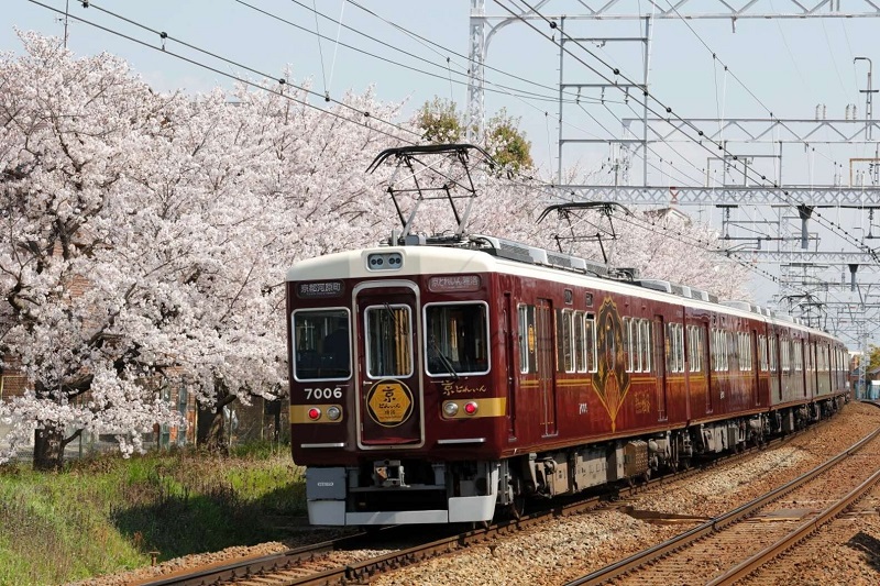 Chuyến tàu ít được biết đến giữa Kyoto và Osaka này là một chuyến đi yên bình, giá cả phải chăng