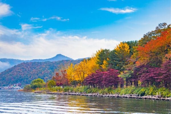 Đảo Nami là 1 trong 12 Chuyến Đi Trong Ngày Tốt Nhất Từ Seoul và Cách Đến Đó