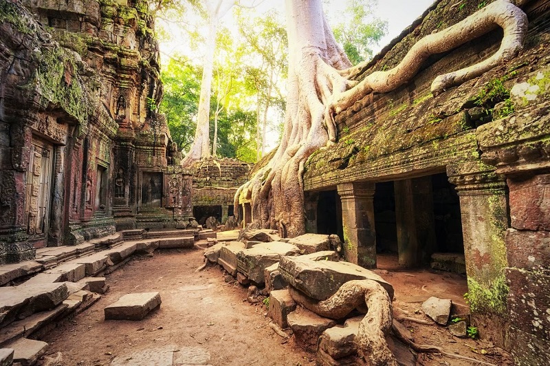 Được bảo vệ bởi danh sách Di sản Thế giới của Unesco, những ngôi đền Angkor được tìm thấy trong những khu rừng cao chót vót xung quanh Siem Reap.